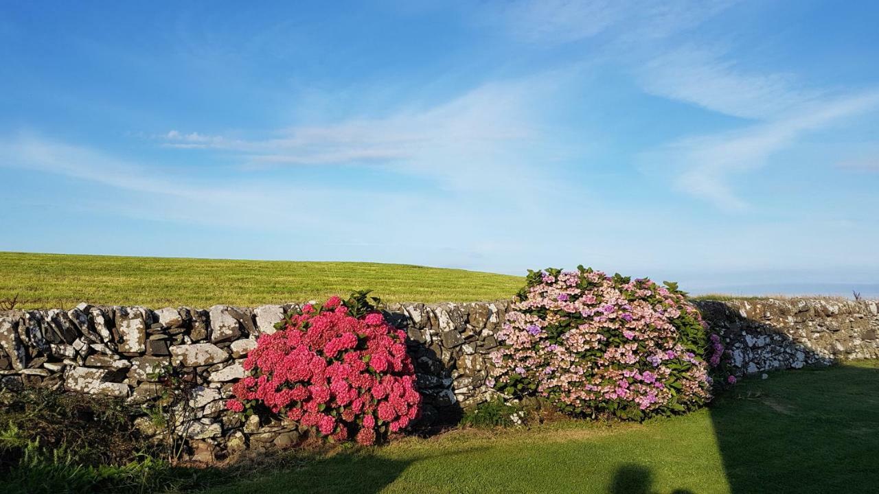 31 Laigh Isle Villa Isle of Whithorn Eksteriør billede